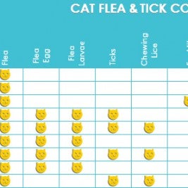 flea and tick | Allivet Pet Care Blog