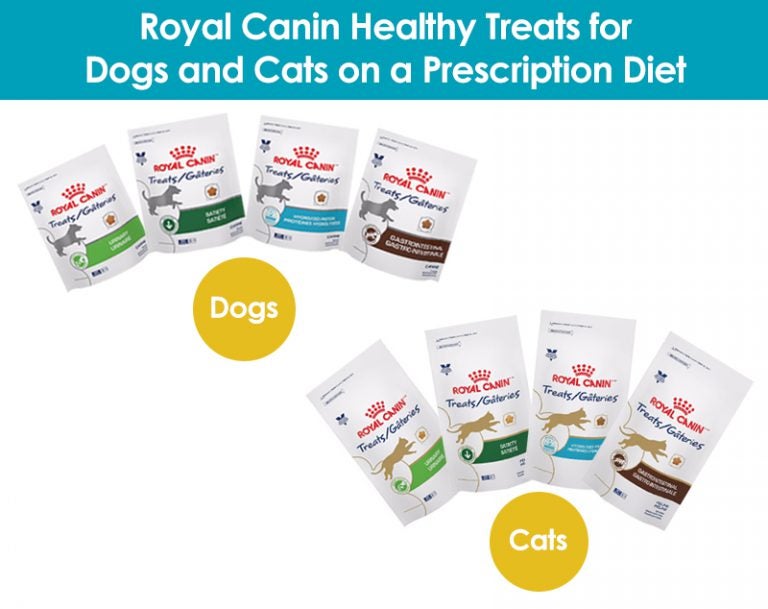 Royal Canin Healthy Treats for Dogs and Cats on a Prescription Diet
