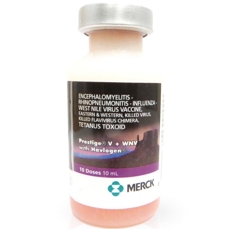 five-essential-vaccines-your-horse-must-have-allivet-pet-care-blog