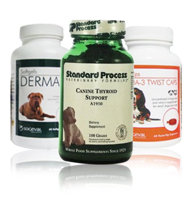 Buy Dog Kidney, Joints, Liver, Digestive, Probiotic, Skin Supplements