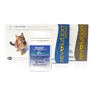 pets medicine