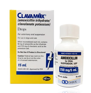 amoxicillin dosage for dogs ear infection