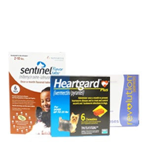 Pet Meds Online >> Allivet Pet Pharmacy | Buy All Pet Health Care Products Online Pet Meds Online >> Allivet Pet Pharmacy | Buy All Pet Health Care Products Online