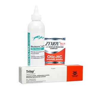 accutane cause hair loss accutane cause hair loss