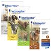 Interceptor for Dogs