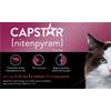 Capstar Flea Tablets for Dogs and Cats Capstar Flea Tablets for Dogs and Cats