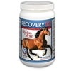 Recovery EQ