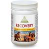Recovery EQ HA