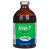 Liver 7