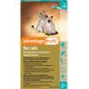 Advantage Multi for Cats
