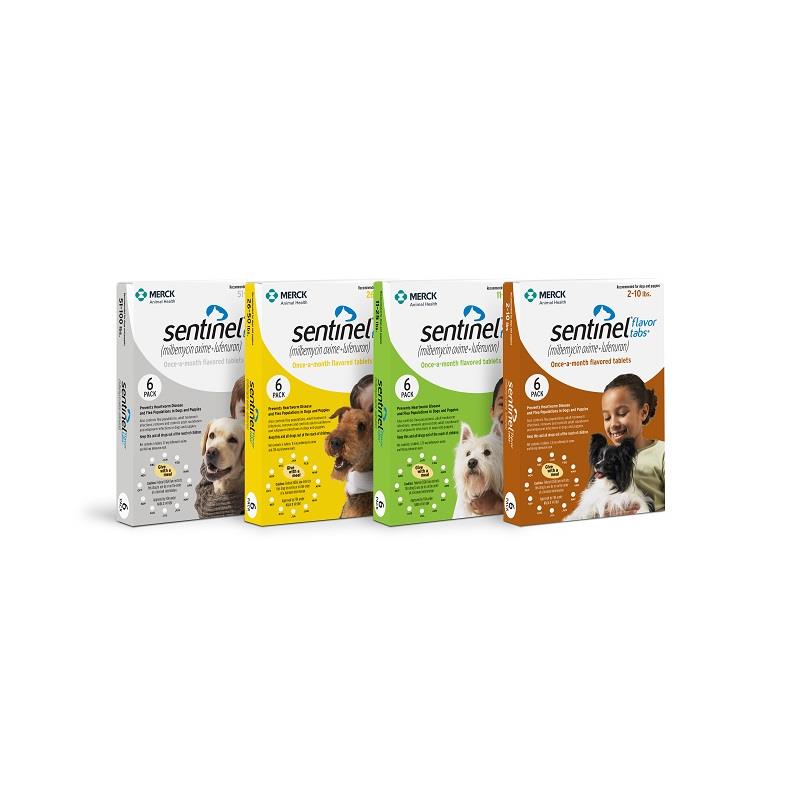 sentinel for dogs sentinel flavor tabs for dogs and puppies sentinel heartworm pills sentinel for dogs sentinel flavor tabs for dogs and puppies sentinel heartworm pills
