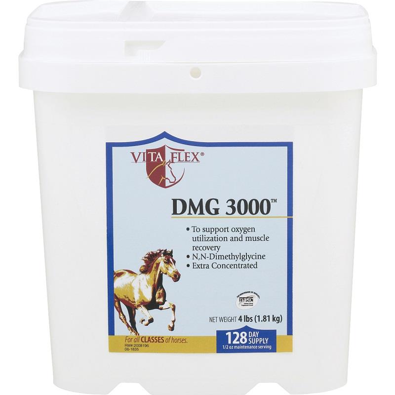 DMG 3000 Powder 4 Lbs Order DMG 3000 horse supplement now