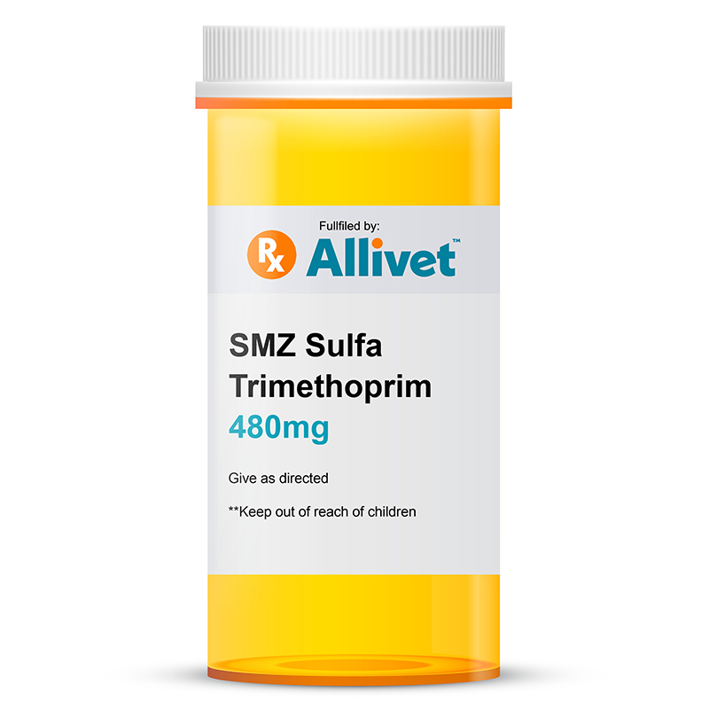 sulfonamide antibiotic