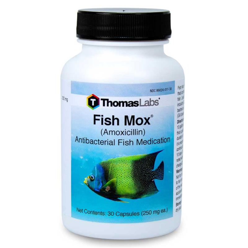 Fish Mox Amoxicillin Fish Mox Forte