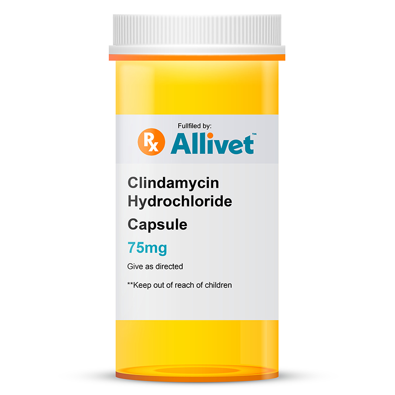 clindamycin for dogs 75mg
