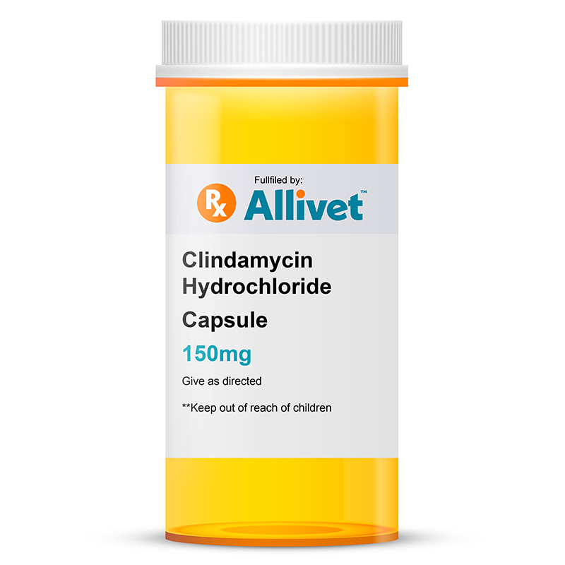 Clindamycin Capsules | Dog Antibiotics | Allivet Pet Pharmacy