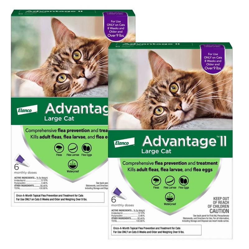 Advantage Ii Flea Treatment For Cats Review Advantage Ii Flea Treatment For Cats Review