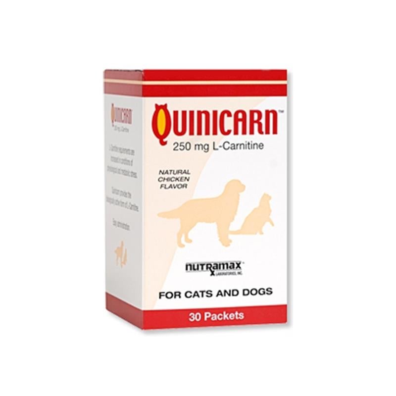 l carnitine for dogs buy quinicarn l carnitine 250 mg 30 packets for dogs and cats l carnitine for dogs buy quinicarn l carnitine 250 mg 30 packets for dogs and cats
