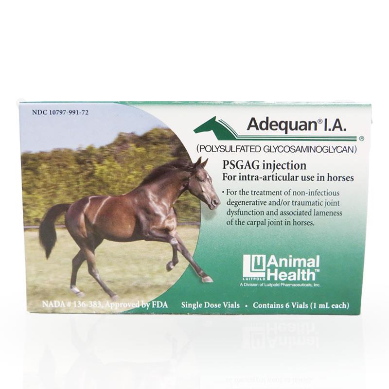Get Adequan Equine IntraArticular 250 mg/mL 6x1 mL