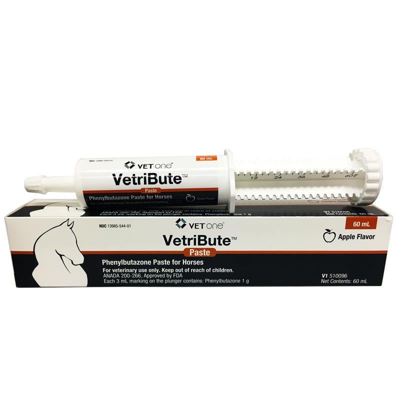 Phenylbutazone Paste 20 g Buy Phenylbutazone tube for Horses