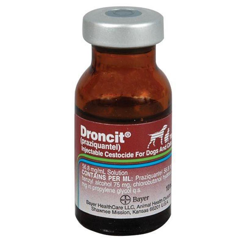 Droncit Injection Praziquantel 10 Ml for Dogs and Cats