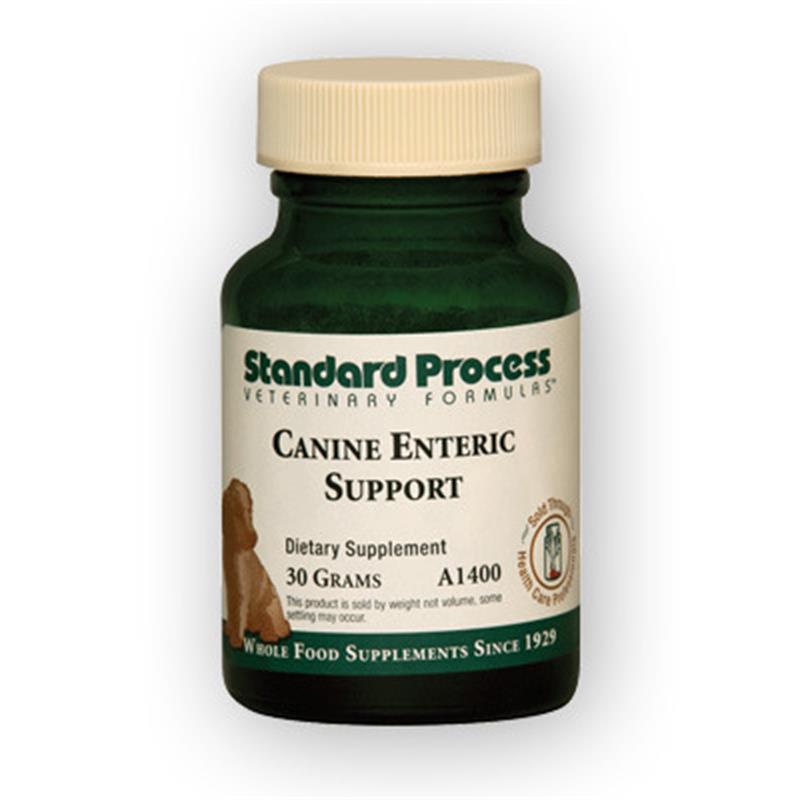 Standard Process Enteric Support for dogs Allivet Affordable Pet