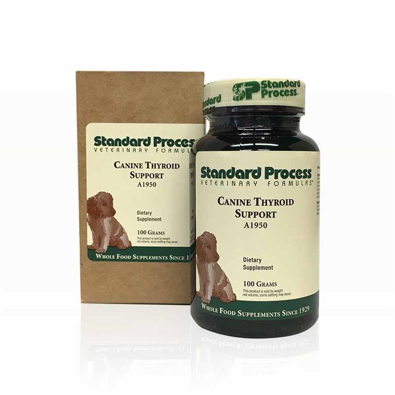 Standard Process Thyroid Support for Dogs Allivet Pet Pharmacy
