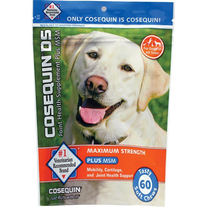 cosequin ds for dogs cosequin ds plus msm chewable for dogs cosequin ds plus msm cosequin ds for dogs cosequin ds plus msm chewable for dogs cosequin ds plus msm