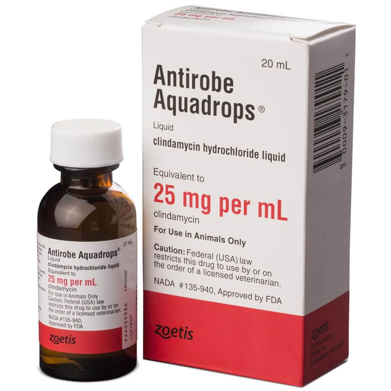 clindamycin for dogs dogs urinary tract infections kidney disease other urinary breeds picture clindamycin for dogs dogs urinary tract infections kidney disease other urinary breeds picture