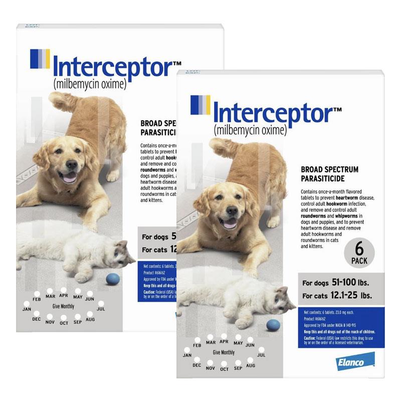 interceptor for dogs interceptor for dogs and cats interceptor flavor heartworm tabs allivet interceptor for dogs interceptor for dogs and cats interceptor flavor heartworm tabs allivet