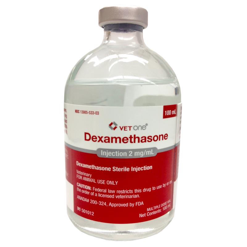 Dexamethasone birds dexamethasone birds
