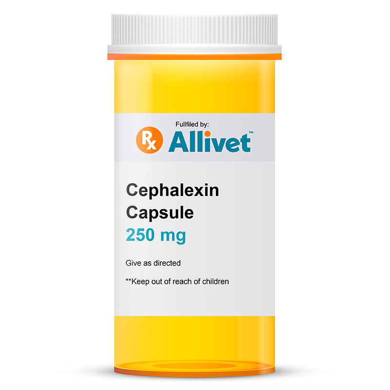 Buy Cephalexin 250 mg and 500 mg Capsules for horses online