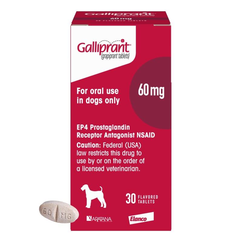 galliprant for dogs purchase galliprant grapiprant flavored tablets for dogs galliprant for dogs purchase galliprant grapiprant flavored tablets for dogs