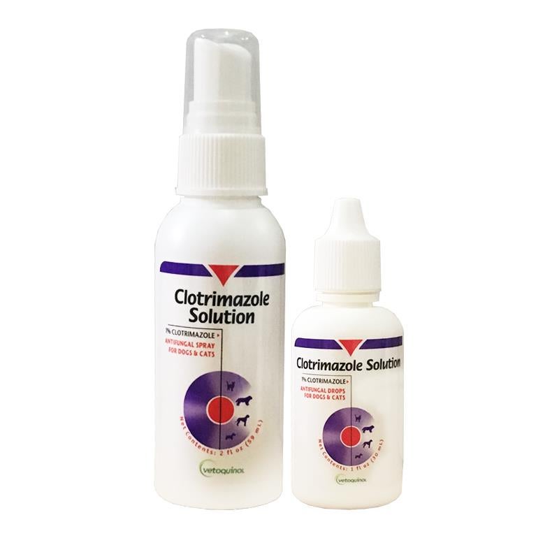 antifungal for dogs order clotrimazole antifungal solution for dogs and cats antifungal for dogs order clotrimazole antifungal solution for dogs and cats