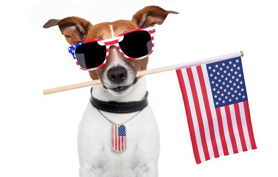 Celebrate Your Furry Friends This Labor Day Allivet Pet Care Blog celebrate-your-furry-friends-this-labor-day-allivet-pet-care-blog