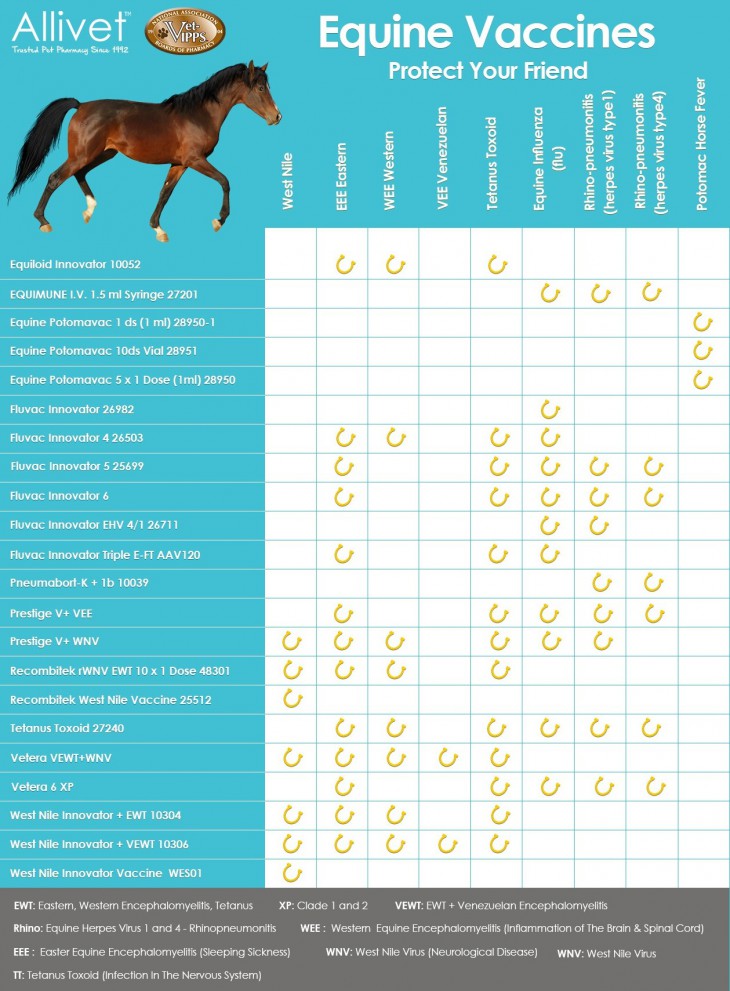 Allivet's Equine Vaccine Chart - Allivet Pet Care Blog