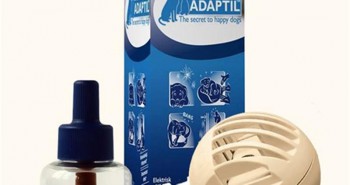 Best Prices On All Adaptil Products