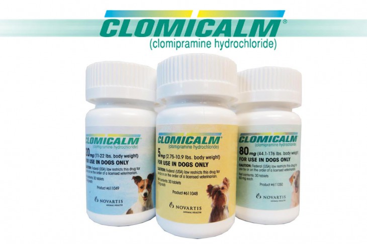 Best Prices on Clomicalm
