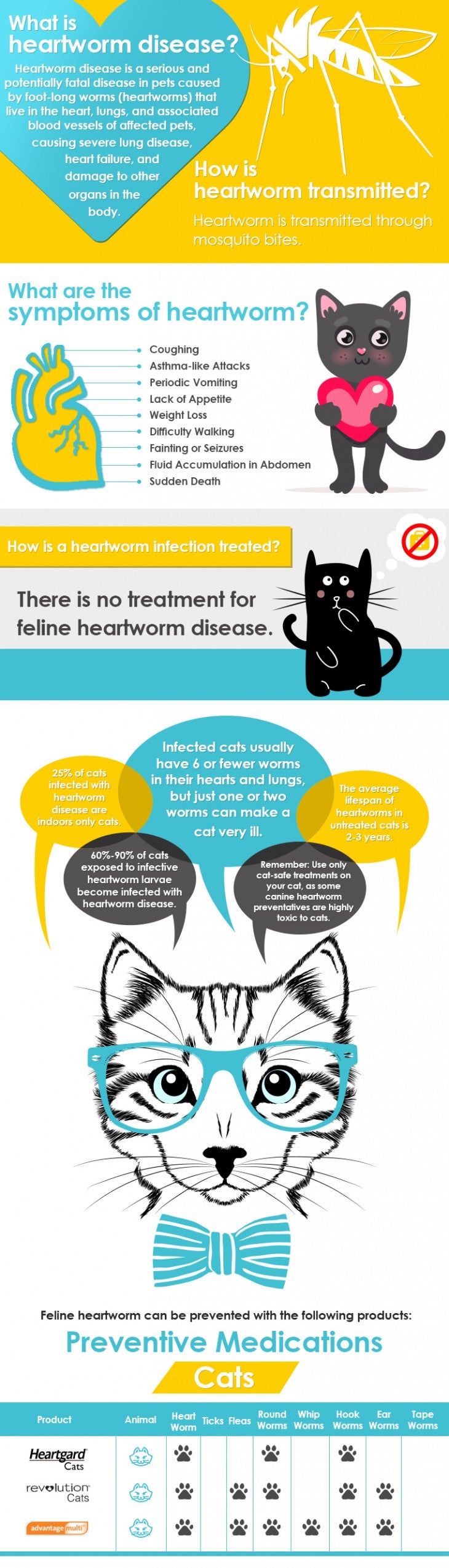 Cat Heartworm Infographic