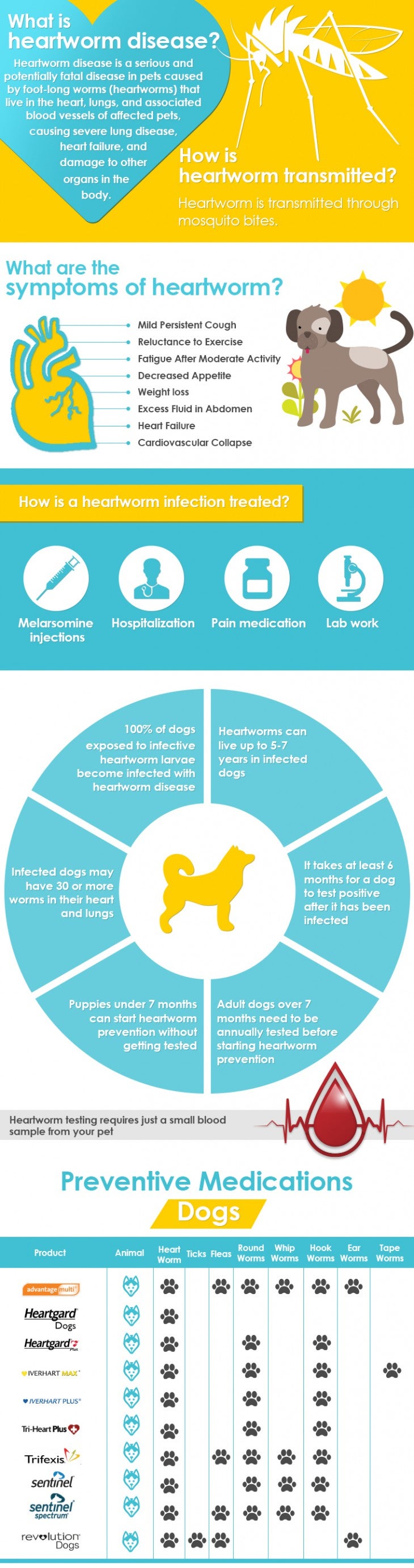 Dog Heartworm Infographic