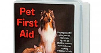 Allivet Pet First Aid Kit