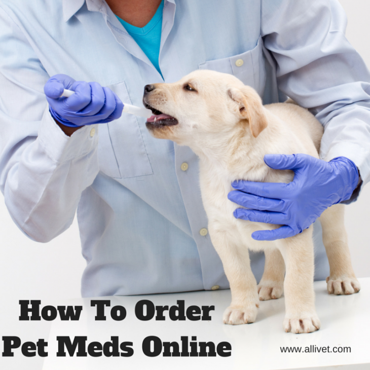How To Order Pet Meds Online - Allivet 