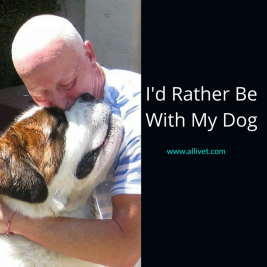 I'd Rather Be With My Dog