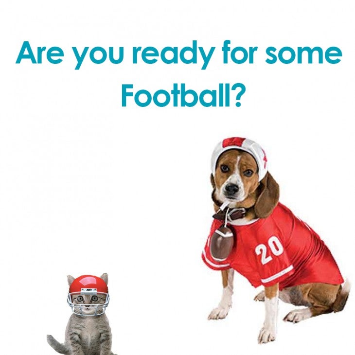 5 Super Ways to Keep Your Pets Stress Free During a Super Bowl Party