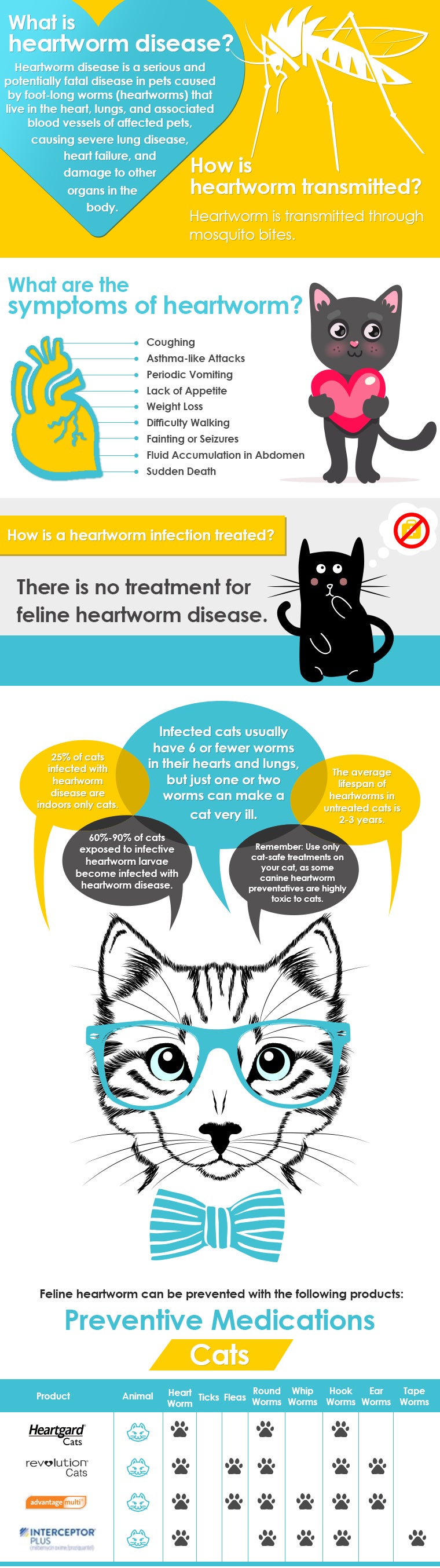 Free Heartworm Disease InfoGraphic for Cats Allivet Pet Care Blog