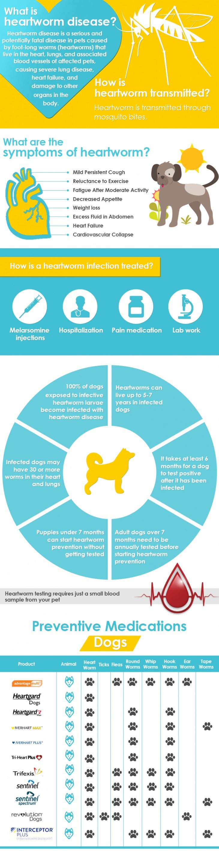 Heartworm infographic for dog - Allivet