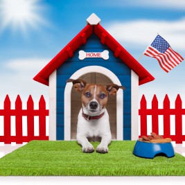 dog in patriotic dog house