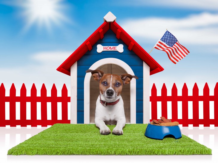 dog in patriotic dog house