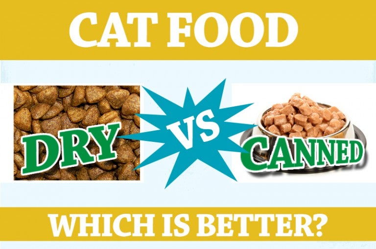 Dry Cat Food vs Canned Cat Food Which is better? Allivet Pet Care Blog