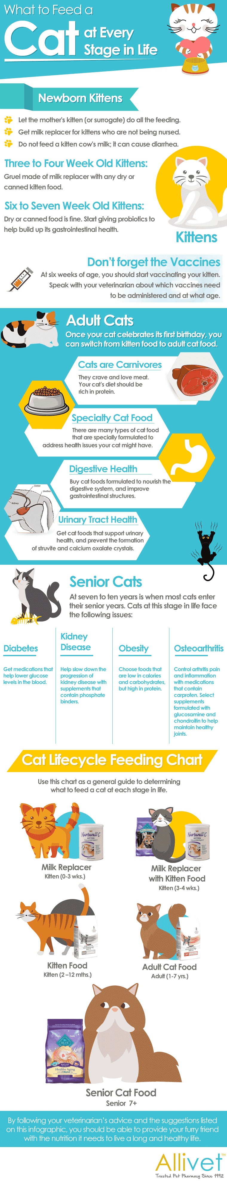 Allivet Cat Food Infographic